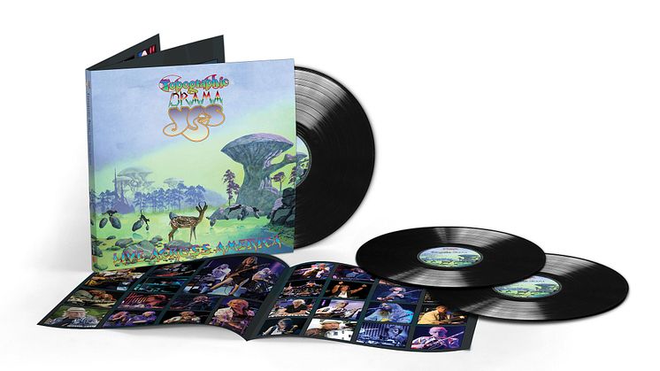 YES / Live / Vinyl
