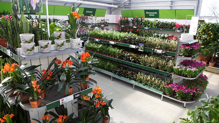 Blomsterandet butiksbild