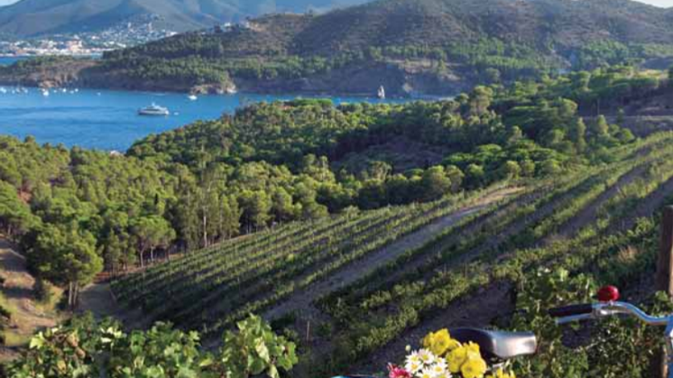 2018 Wine tourism Experiences