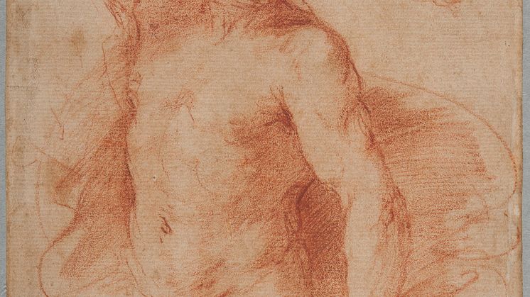 Giovanni Francesco Barbieri, called Guercino, Study for a Hercules in three-quarter-length, beginning of the 1640s. Photo: Cecilia Heisser/Nationalmuseum.  