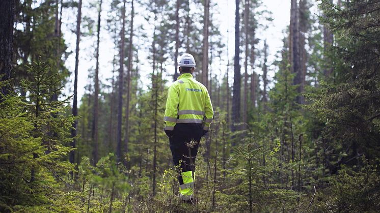 Omexom sammankopplar förnybar energi till elnätet i norra Sverige