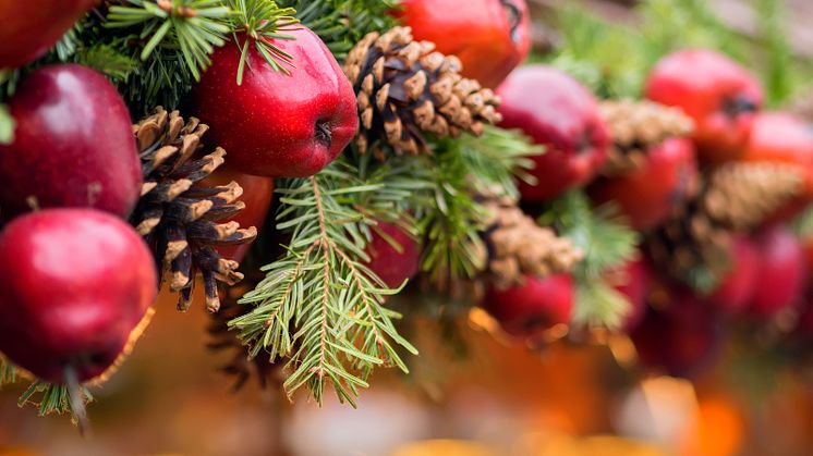 Pressträff: Julmarknad med unga företagare