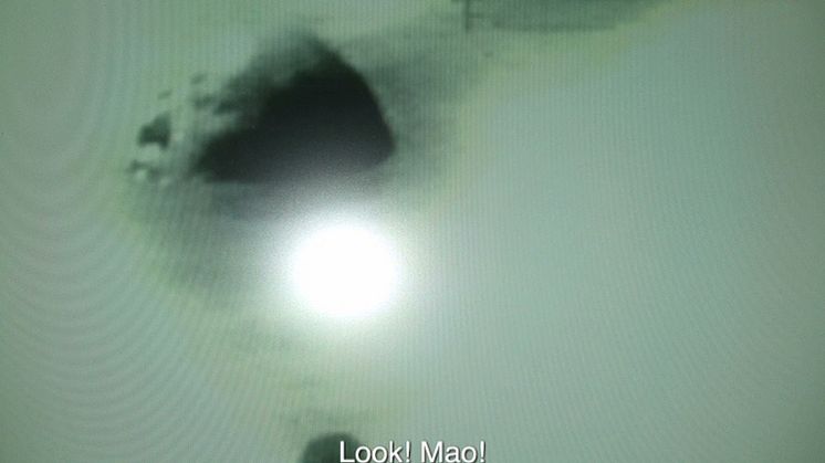 Lina Selander: ur " När solen går ner är den alldeles röd, sen försvinner den" 2008