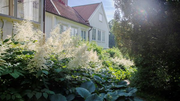 Trädgårdsavfall blir biokol i Renovas nya anläggning. Foto: Göteborgs Stad, Lo Birgersson
