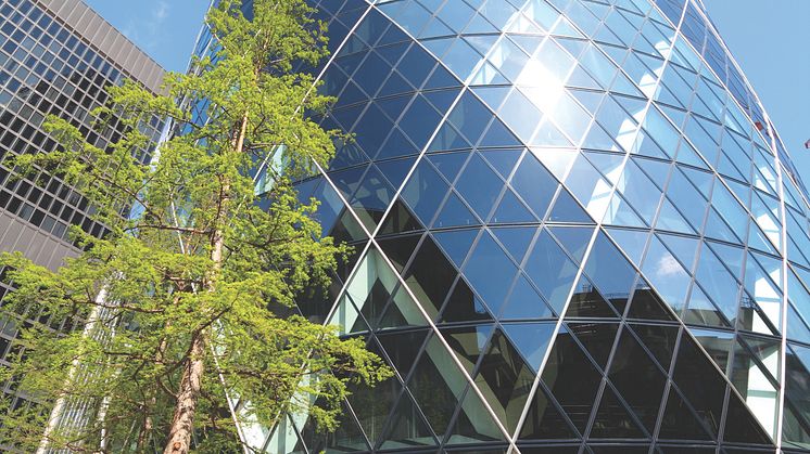 Northumbria expands into London