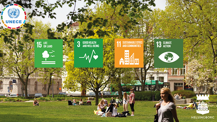 Helsingborg planterar 8 000 träd för ett bättre klimat