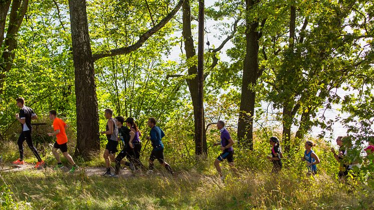 Lidingöloppet, löpare på rad