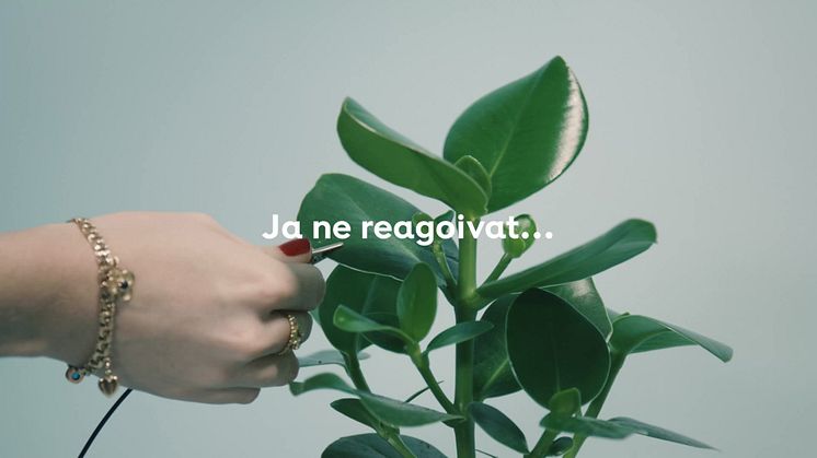 Kasvit osaavat laulaa! Plantagenin elävä kuoro esittää Jouluyö, juhlayö -laulun.