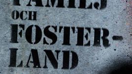Ny rapport inför EU-valet: Nationalismens Europa hotar kvinnors rättigheter
