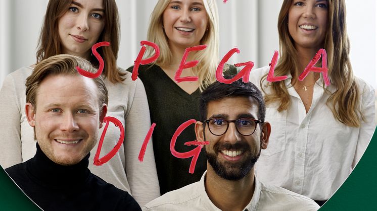 Övre f.v: Nicole Ostash (POST), Viktoria Löwkrantz (POST), Leyla Larsson (Werlabs) Undre f.v: Henrik Haegermark (POST), Bhu Kandola (Werlabs)