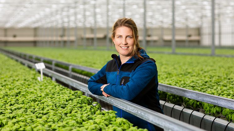 Lisa Lindström, Odlingschef Svegro