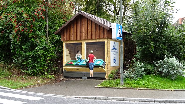 Am Trafo an der Ecke Gerolsbacher Straße/Pfaffenhofener Straße in Schrobenhausen gibt es nun einen Spargelverkaufsstand – wenn auch nur als Spraykunst.