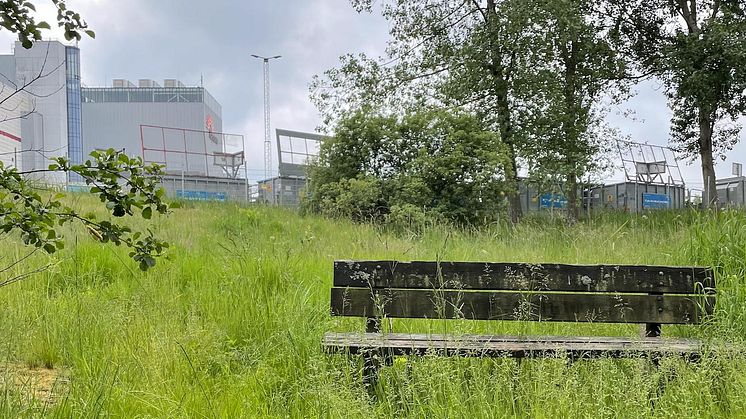 Industriområde i Göteborg lever upp med vildbin och sandbäddar