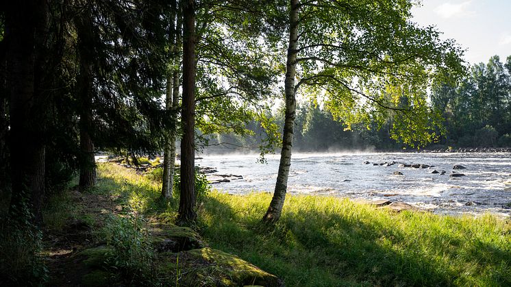 Fänforsen Björbo