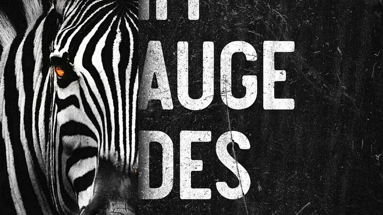 Kliesch_Im Auge des Zebras.jpg