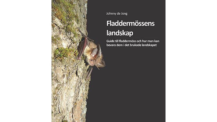 Ny bok om fladdermössen och deras landskap