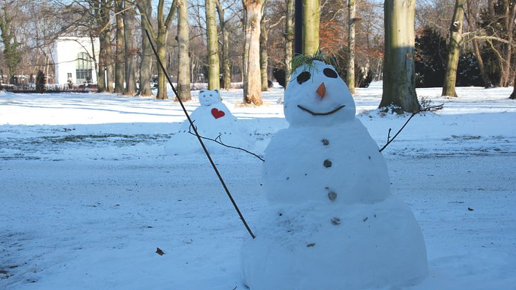 Schneemann_2012