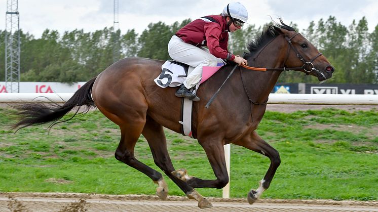 Joker Face vinner med Kajsa Lindsjö, Jägersro 180912. Foto: Stefan Olsson / Svensk Galopp