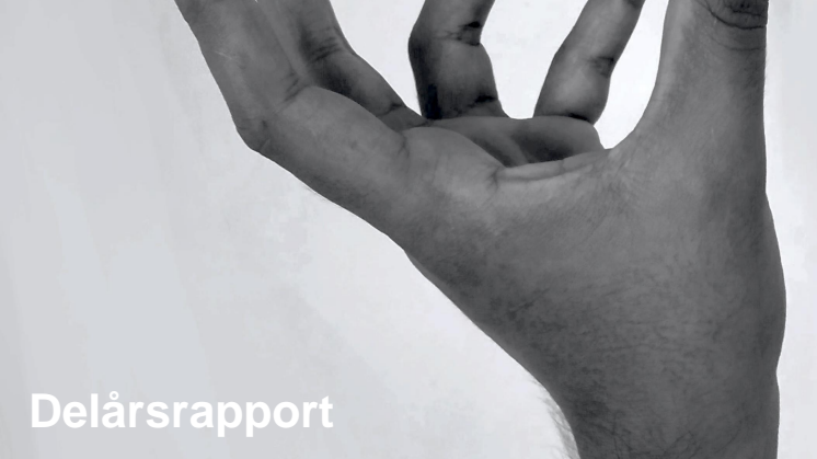Delårsrapport Q2 2024