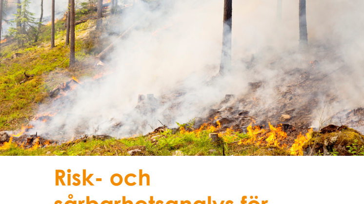 Risk- och sårbarhetsanalys Örebro kommun