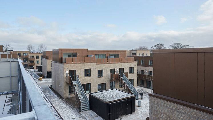 Tornhøjgårdparken en vintermorgen