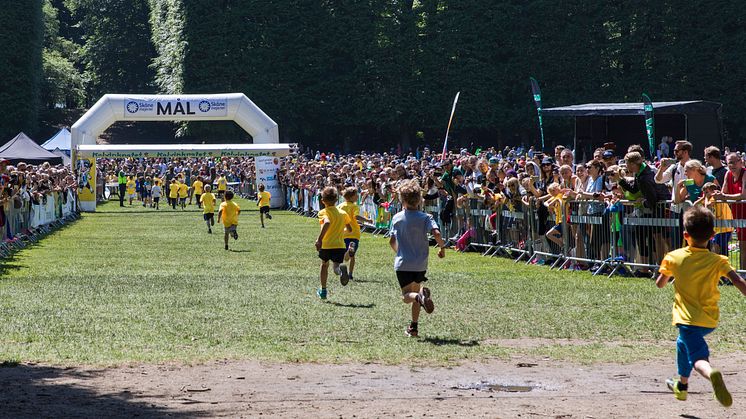 Kalvinknatet 2017 Foto: Skånemejerier