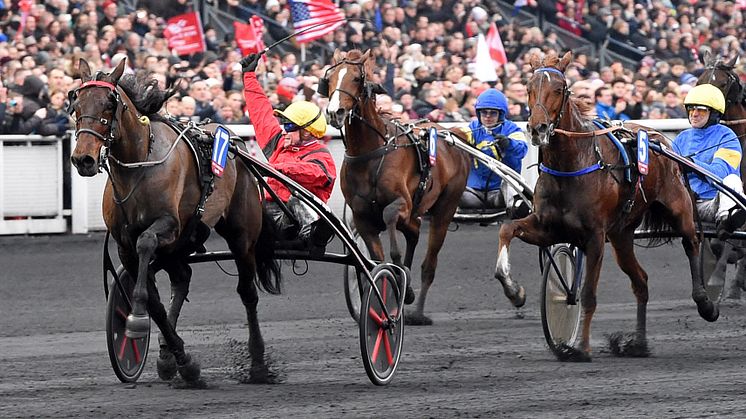 Bold Eagle vinner Prix d'Amerique