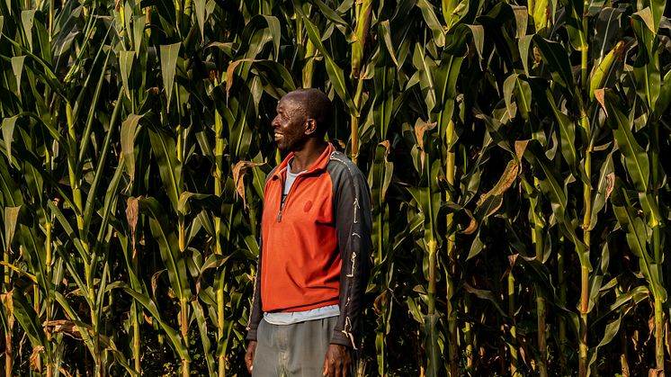 Farmer