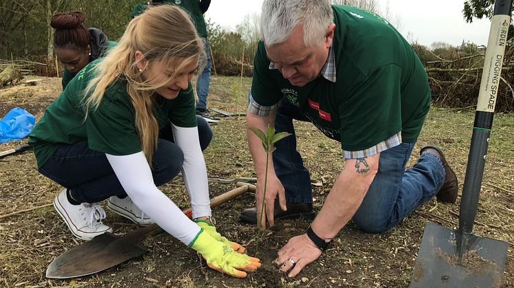 Tree planting 2