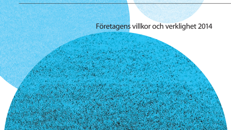Rapport: Näringslivets internationalisering tar nya vägar, Företagens villkor och verklighet 2014