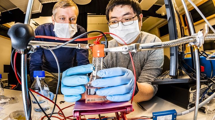 Magnus Jonsson och  Shangzhi Chen vid Laboratoriet för organisk elektronik