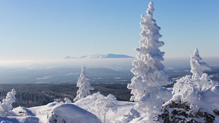 Vintervackert i Vemdalen 
