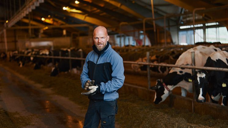 Solide resultater og stærk bæredygtighedsindsats i endnu et volatilt år