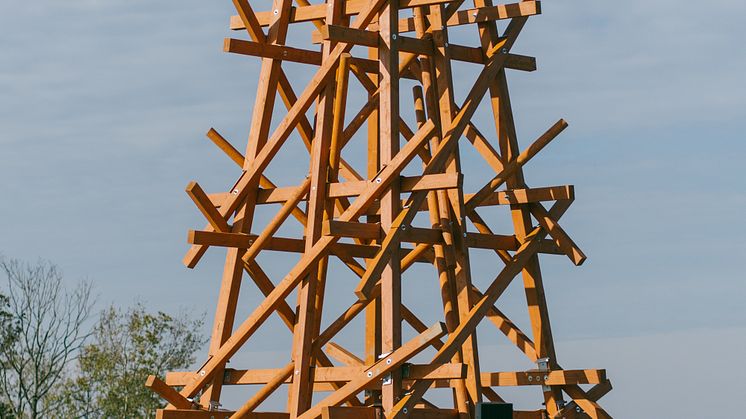 PurplePath_Zwei in ein ander Gewobene_Olaf Holzapfel_ Amtsberg _Werk_Foto_ Johannes Richter.jpg