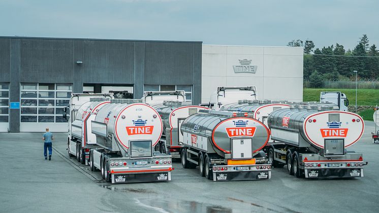 TINEs 2. tertial byr på godt - og på dårlig nytt