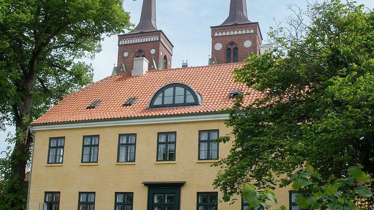 I skyggen af Roskilde Domkirke 2
