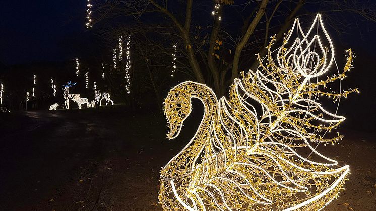 Sonnenlandpark_Winter_2023-2024_Schwan