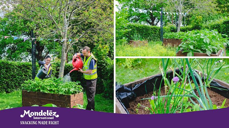 Green Gym and food growing space at Rowheath Pavilion