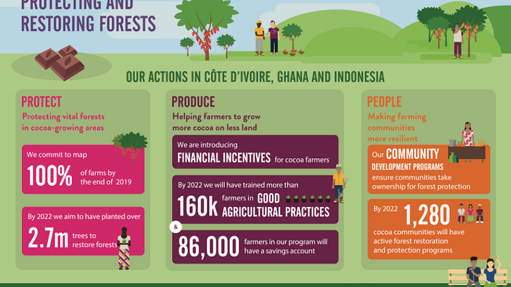 Infografía Cocoa Life