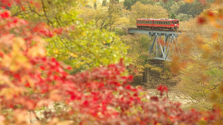 Aizu Train