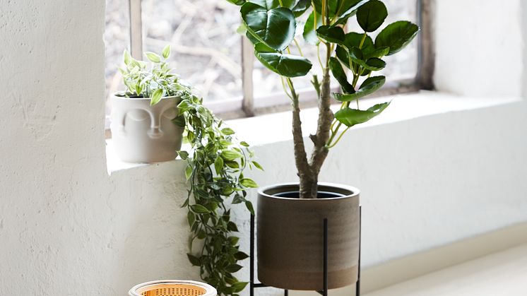 Pflanztopf MANDRUP, Kunstpflanze ARVID, Lampe MINGUS