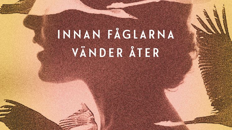 Innan fåglarna vänder åter