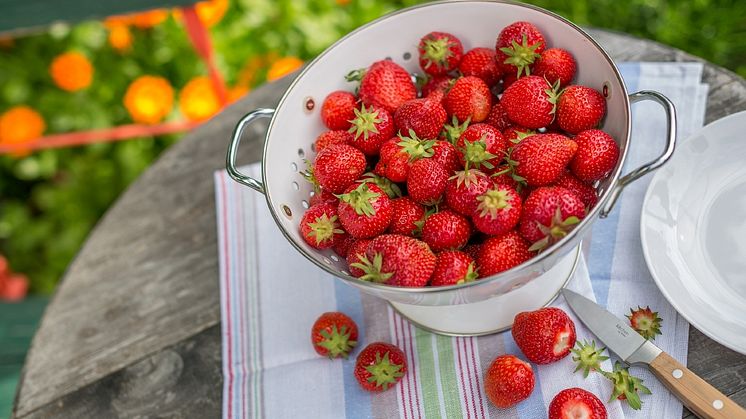 10_Delicious strawberries_Neudorff.jpg