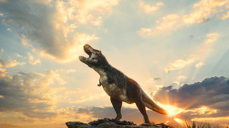 T-rex stor bild