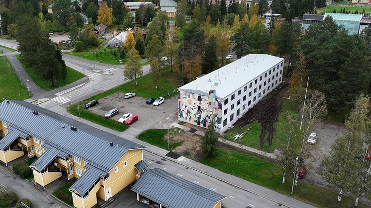 Kaupunkikukkia - Antti Baas (3)
