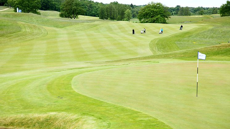 Golfen satsar stort och länge på Elmia Park