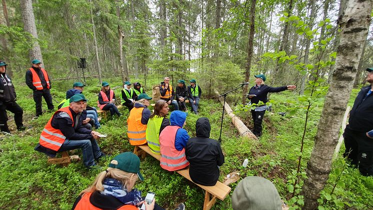 Välbesökt konferens med skogen i fokus 