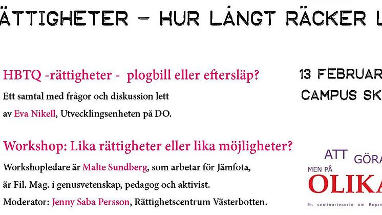 HBTQ RÄTTIGHETER – HUR LÅNGT RÄCKER LAGEN?