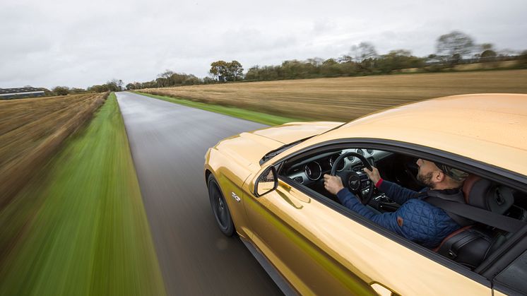The Golden Mustang