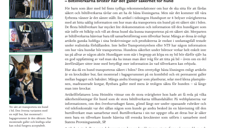 Hunden lever farligt i bilen